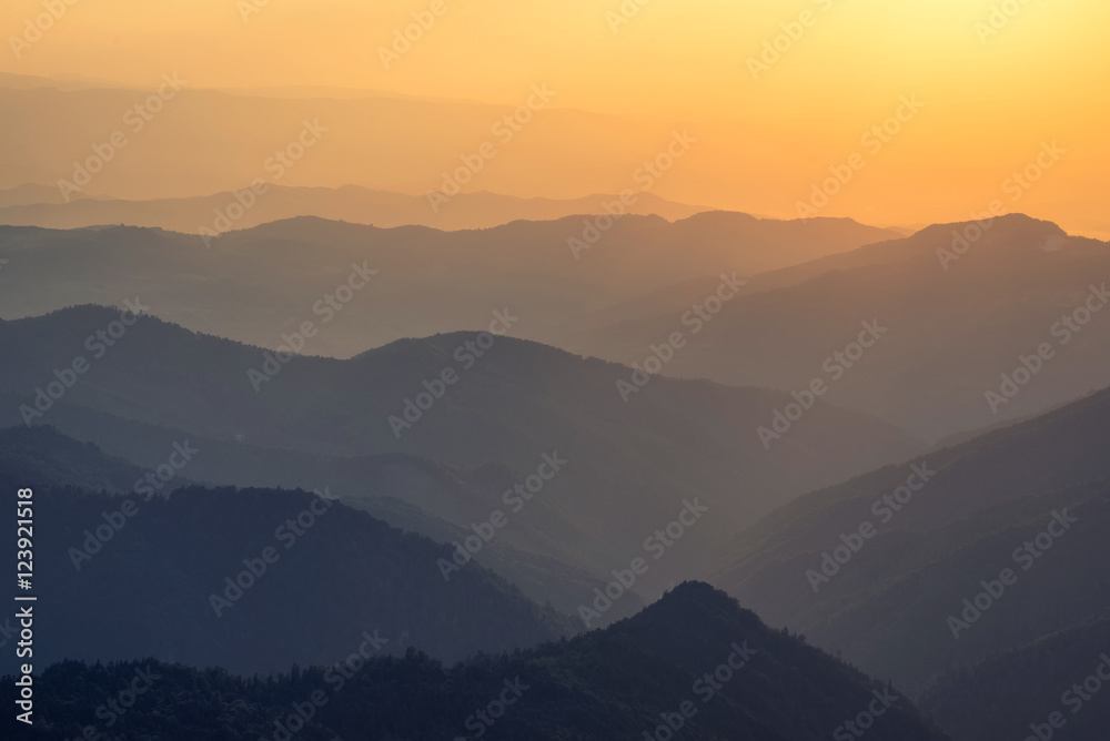 日出时的山谷。夏季的自然景观