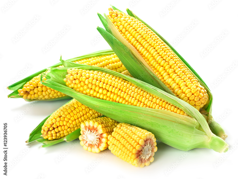 Corn isolated on white