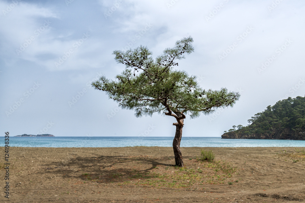 地中海