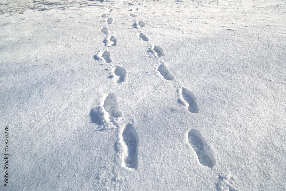 雪地里阳光明媚的鞋印