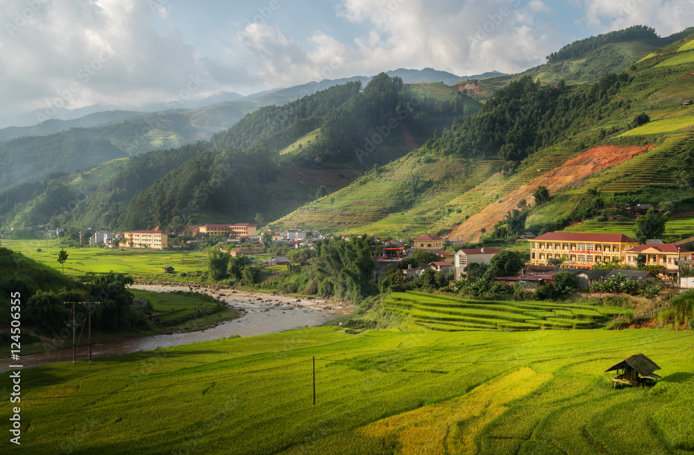 Terraced rice field in Mu Cang Chai, Vietnam