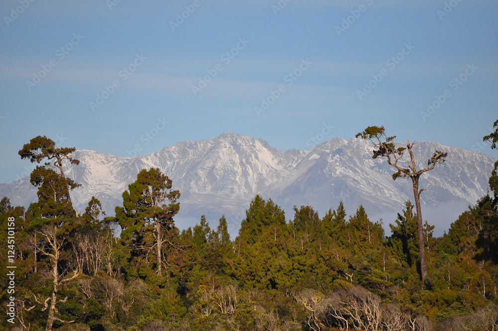 树木与山峰