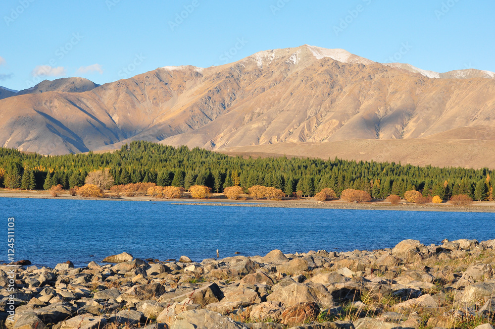 新西兰特卡波湖景观