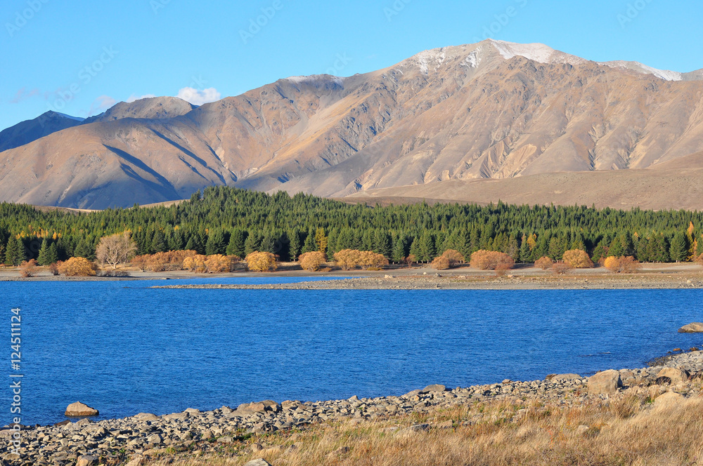 Lake Tekapo, New Zealand Landscape