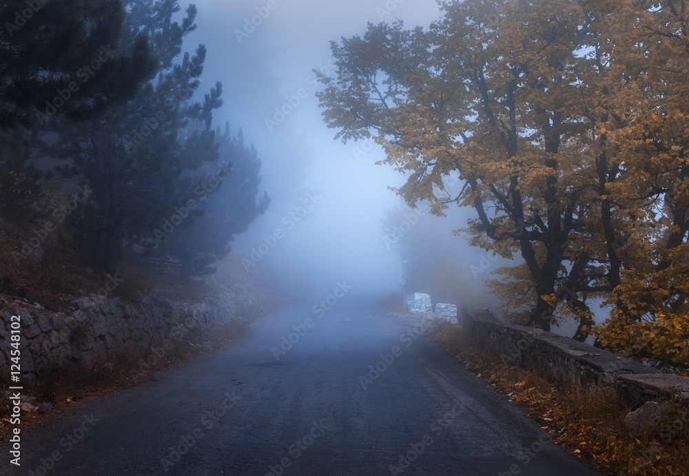 Mystical autumn forest with road in fog. Fall misty woods. Colorful landscape with trees, rural road