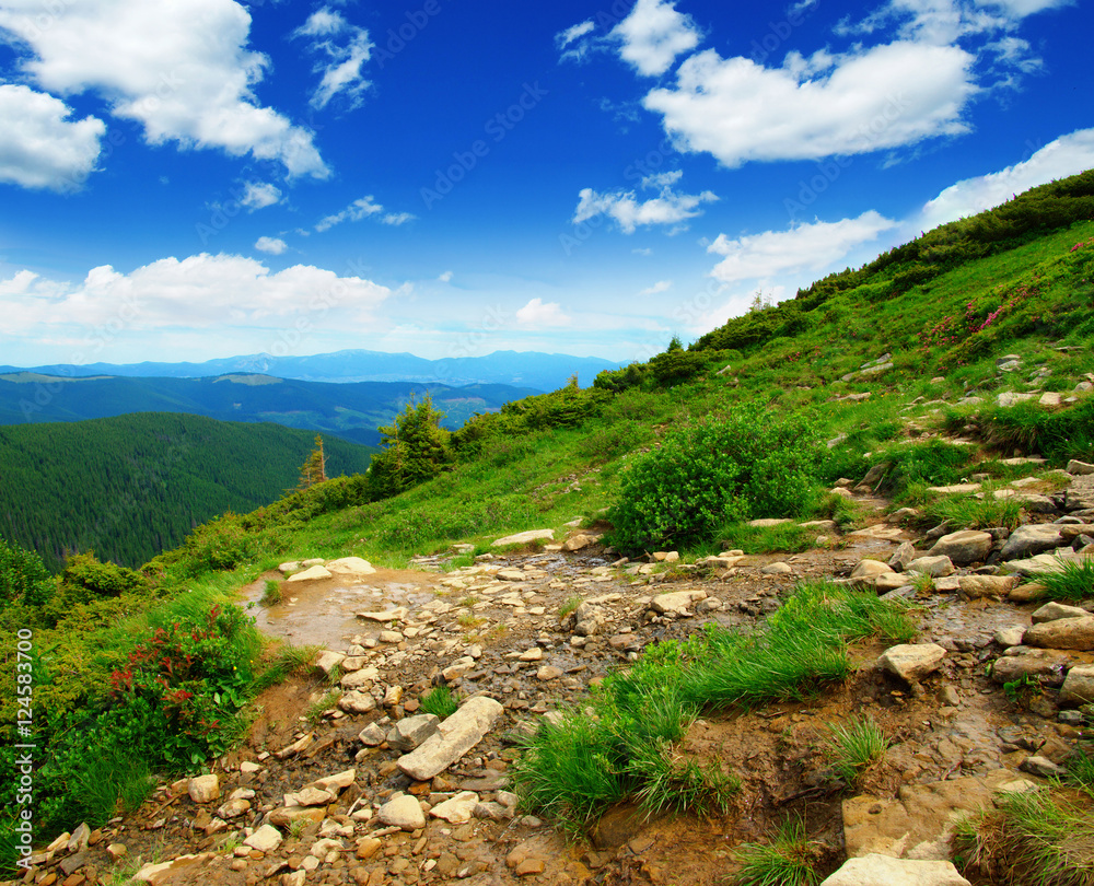 Mountain landscape in the summer