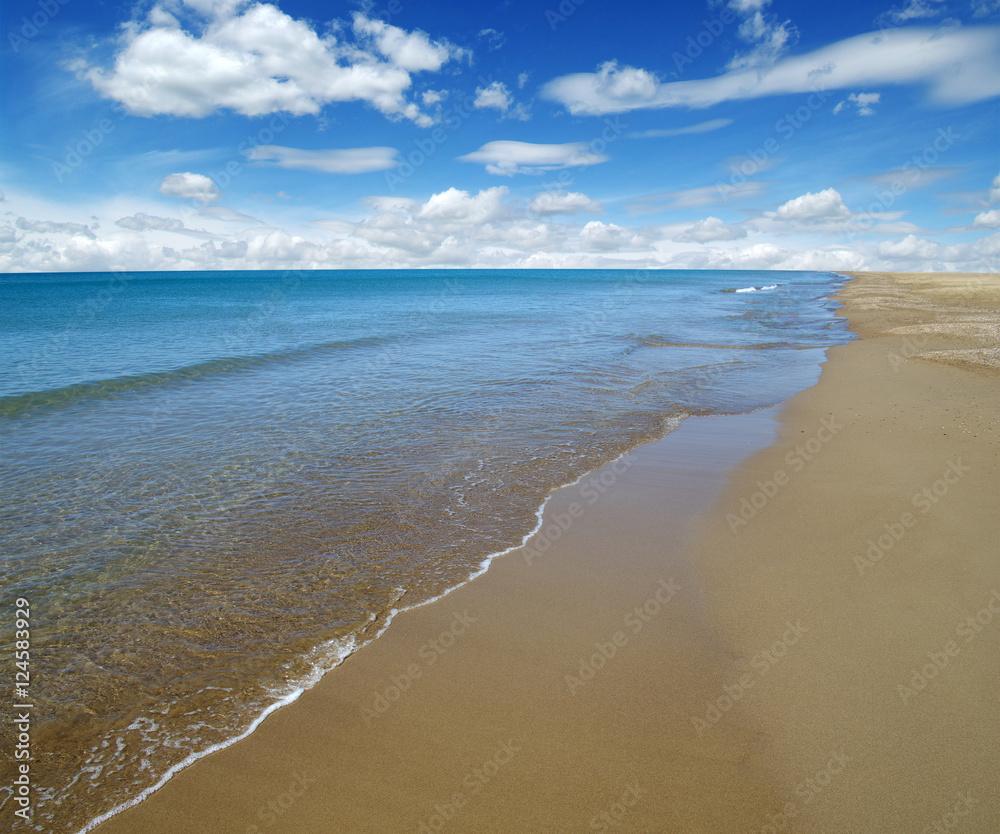 海滩与海洋