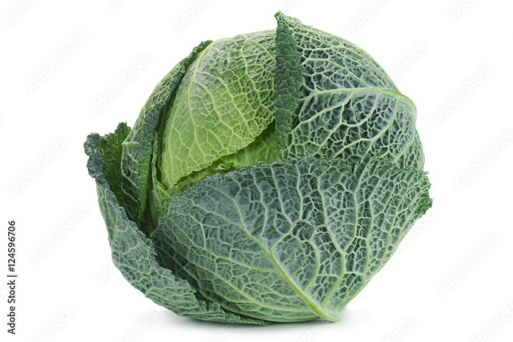 Savoy cabbage on white