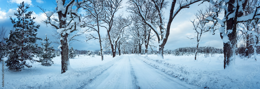 穿过雪地小巷的道路上的冬季全景