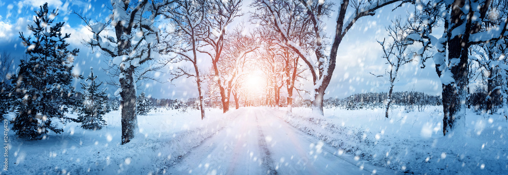 穿过雪地小巷的道路上的冬季全景