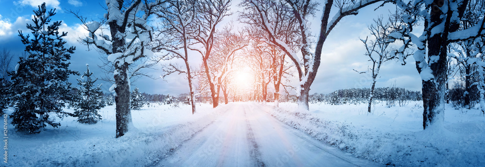 穿过雪地小巷的道路上的冬季全景