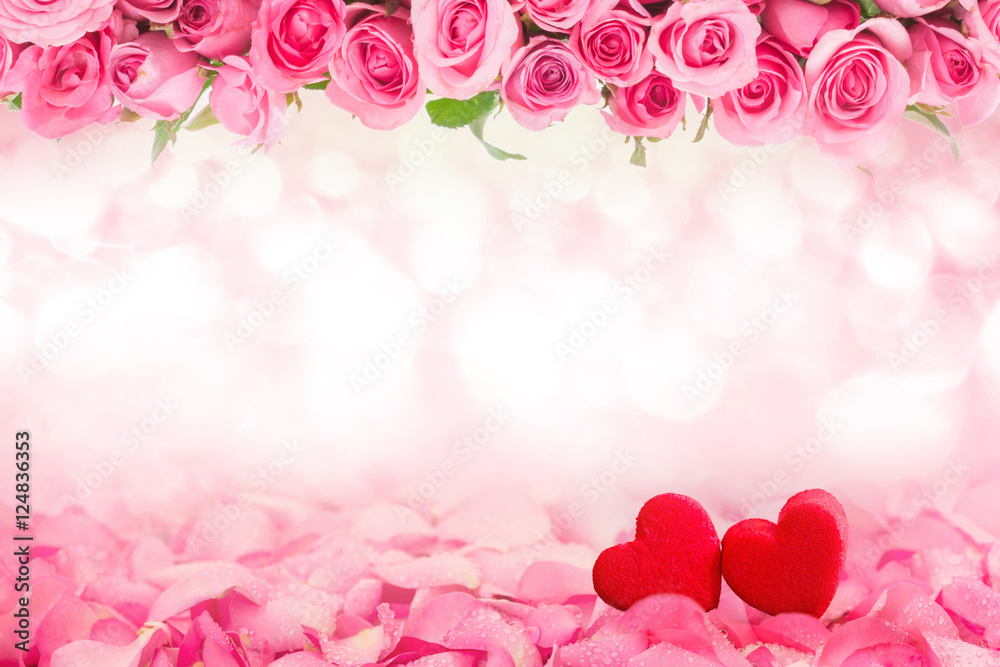 Abstract background of Beautiful fresh sweet pink rose 