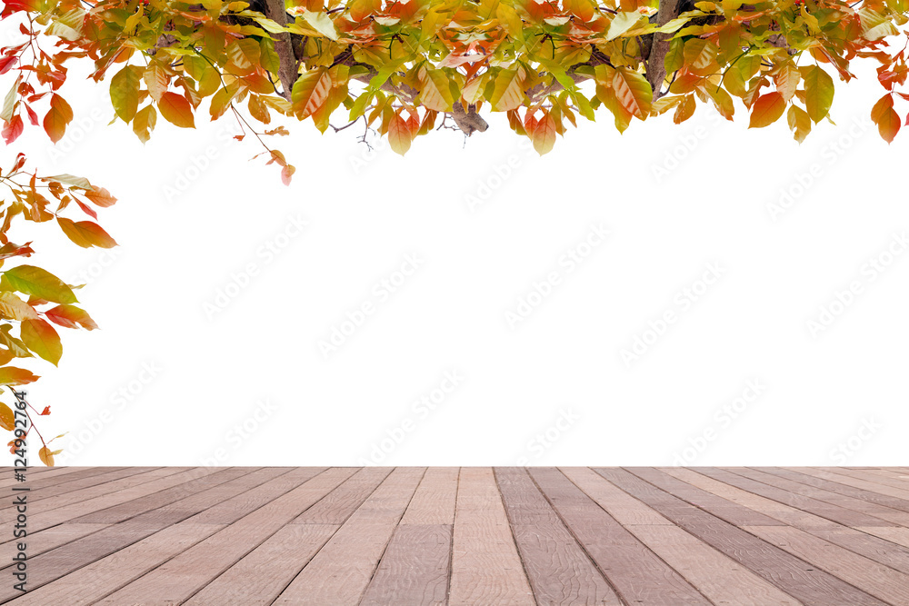 Wood floor with Green leaves frame on beach background