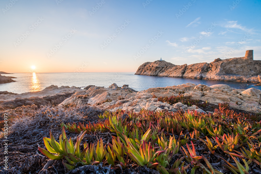 île rousse