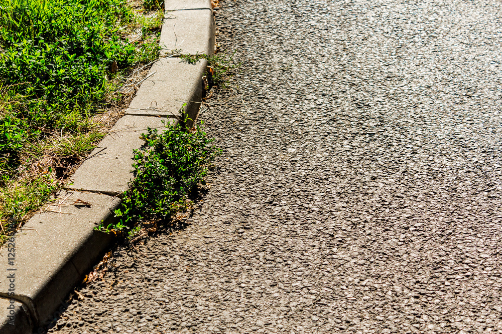 Road and nature