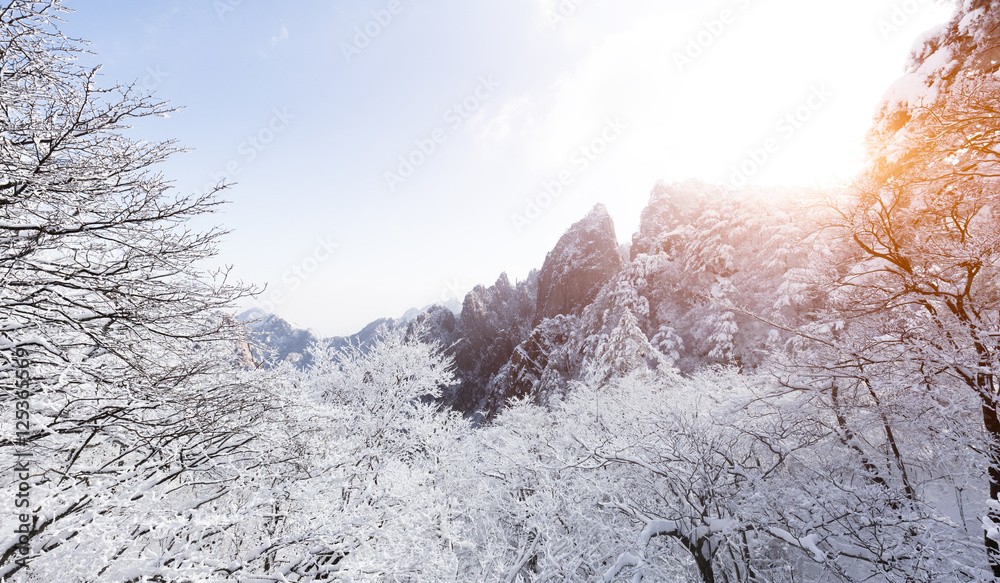 snow scene on huangshan mountain