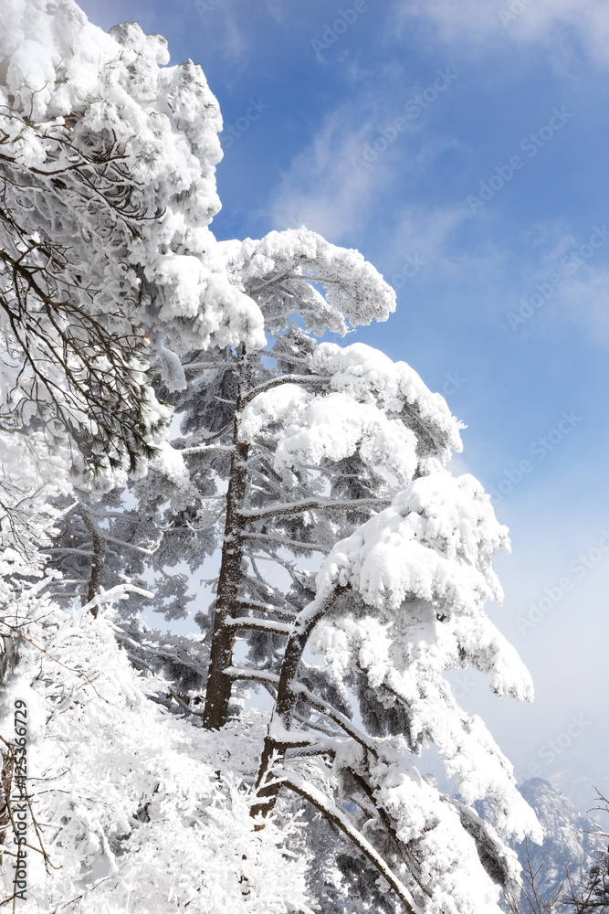 黄山雪景