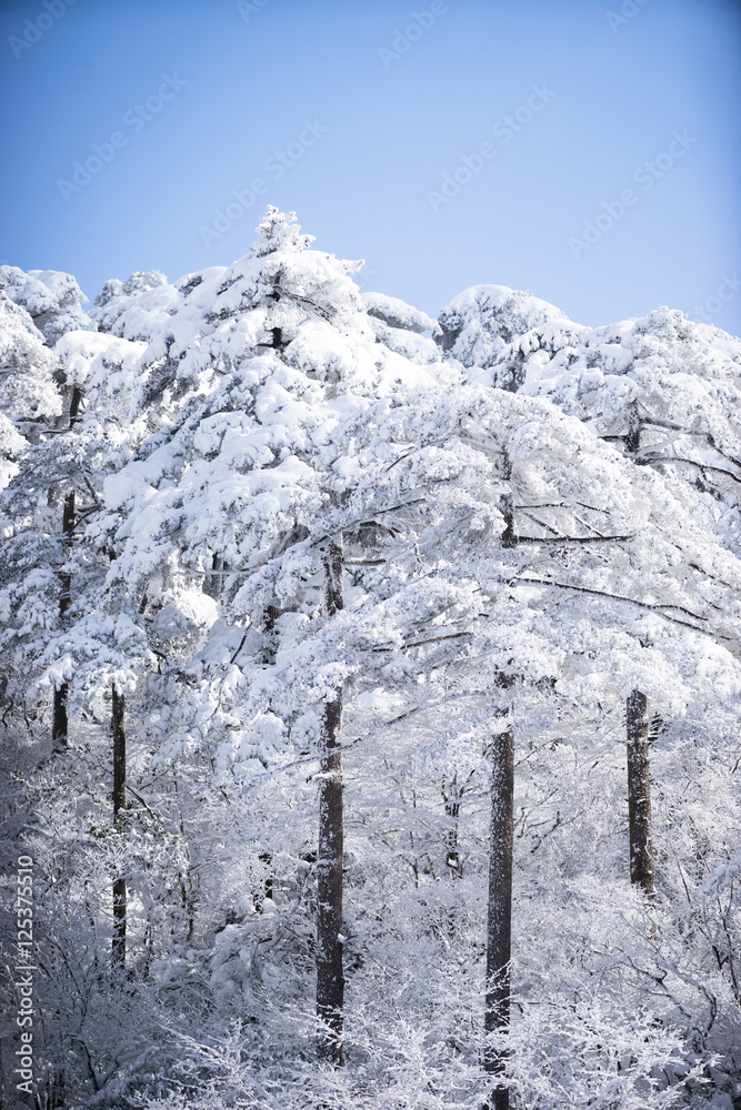 黄山雪景