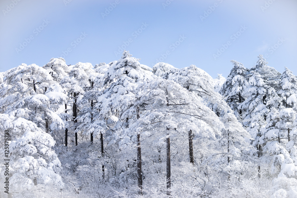 黄山雪景