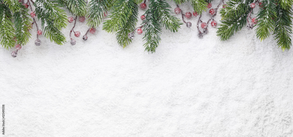 Christmas fir twig with red berries