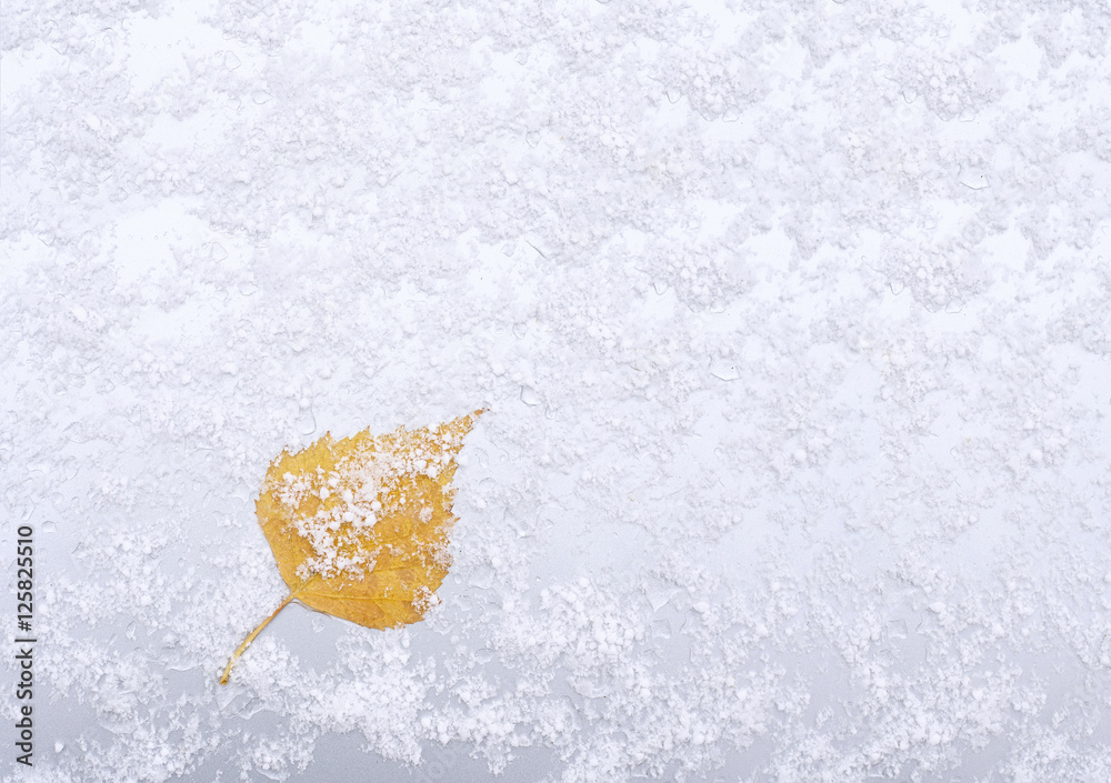 美丽的银色背景雪纹理，雪花和黄叶。