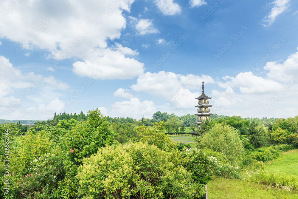 夏日绿色公园