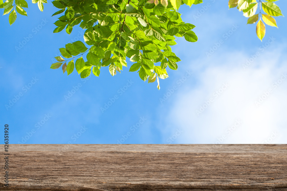 Empty wooden table over blue sky and branch background, for prod