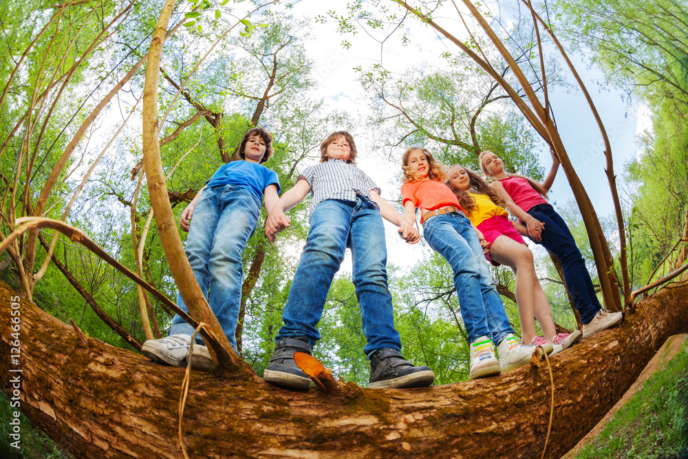 Kids standing together on trunk of fallen tree