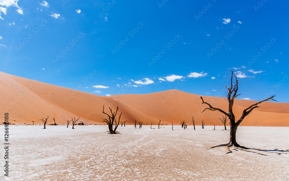 Deadvlei 1