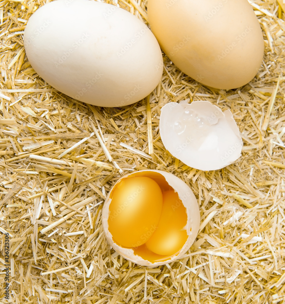 Cracked egg with double yolks isolated straw background (country egg)