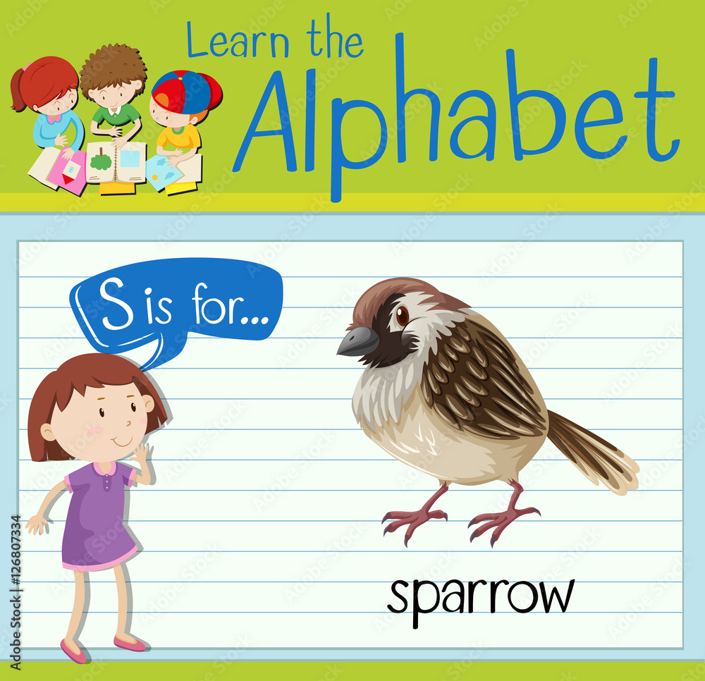 Flashcard letter S is for sparrow