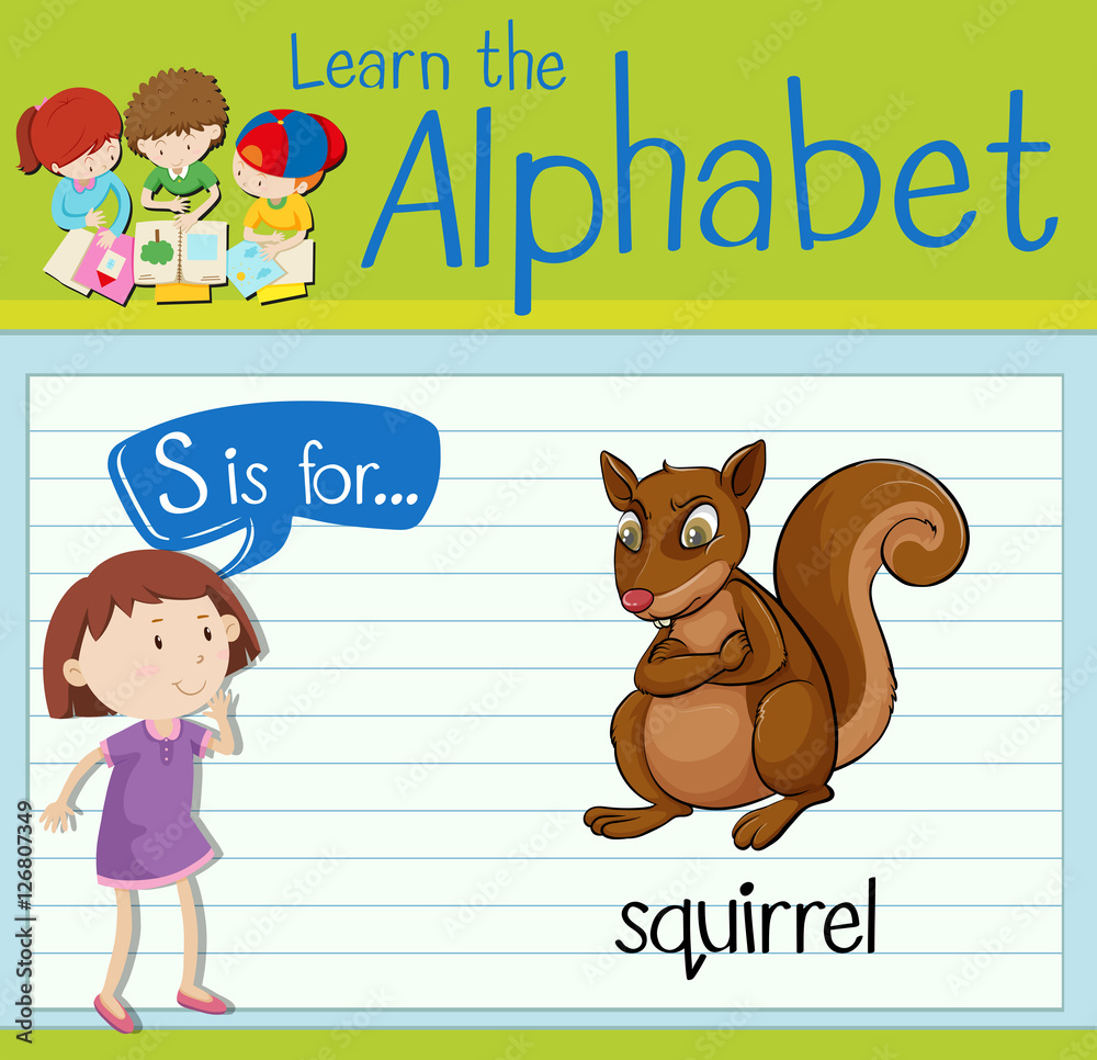 Flashcard letter S is for squirrel