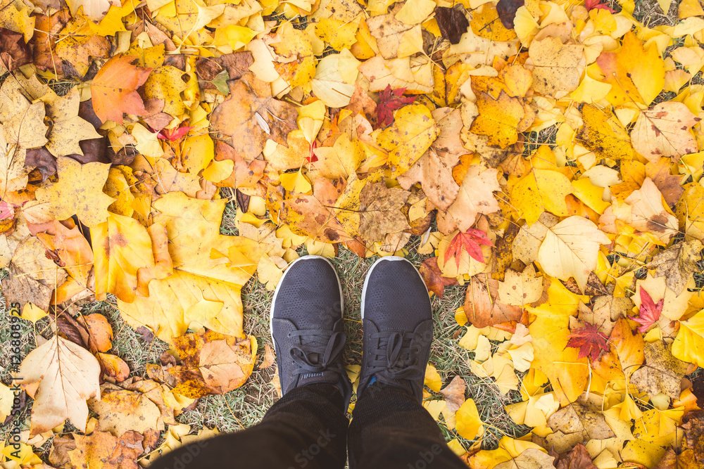 Top View of Man entering the fall season,  standing in dry autum