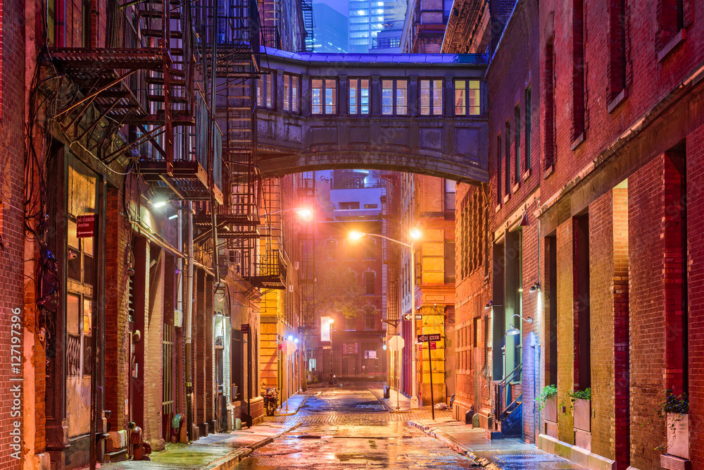 Tribeca Alley in New York