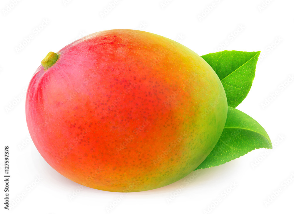 Isolated mango. One whole mango fruit with leaves isolated on white background with clipping path