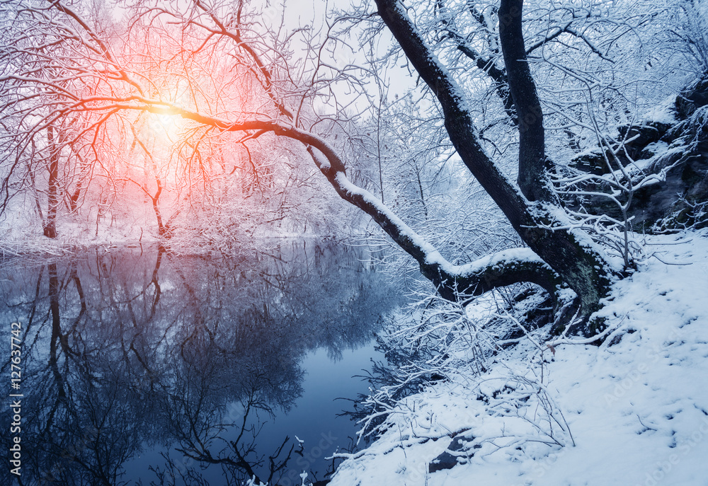 日落时河边森林里的美丽冬天。冬天的风景。树上的雪树枝，美丽