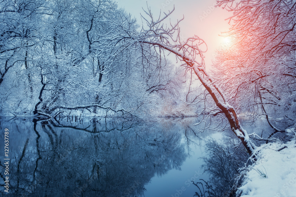 日落时河边森林里的美丽冬天。冬季景观。树上的雪树枝，美丽