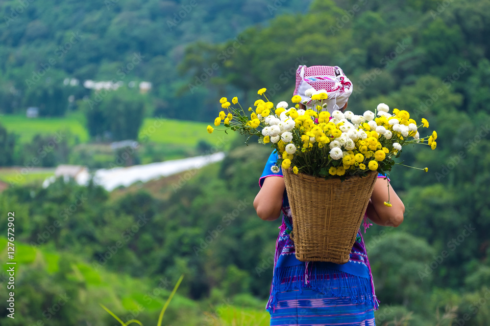 Rear view of Hmong young woman with flower basket on back in Chiang mai, Thailand.