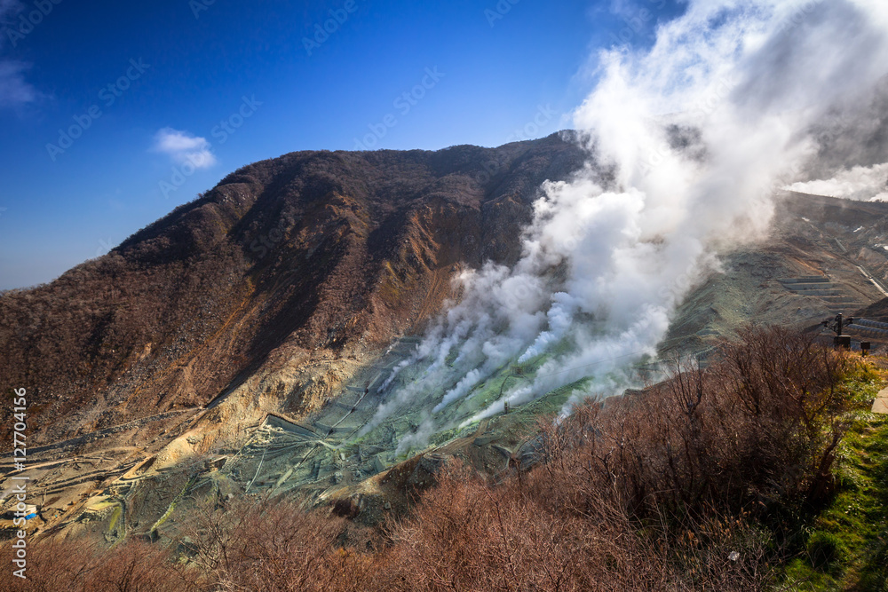 Active sulphur vents of Owakudani at Fuji volcano, Japan