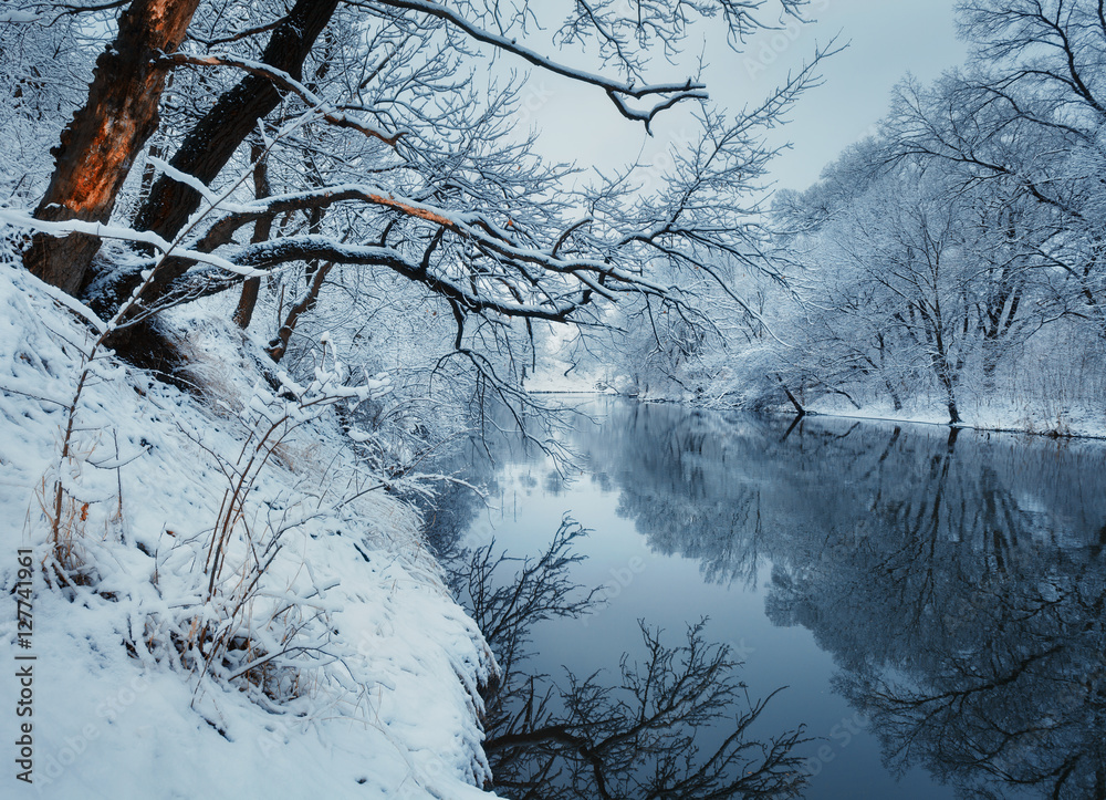 美丽的冬天在河边的森林里。冬天的风景。树上的雪树枝，美丽的河流