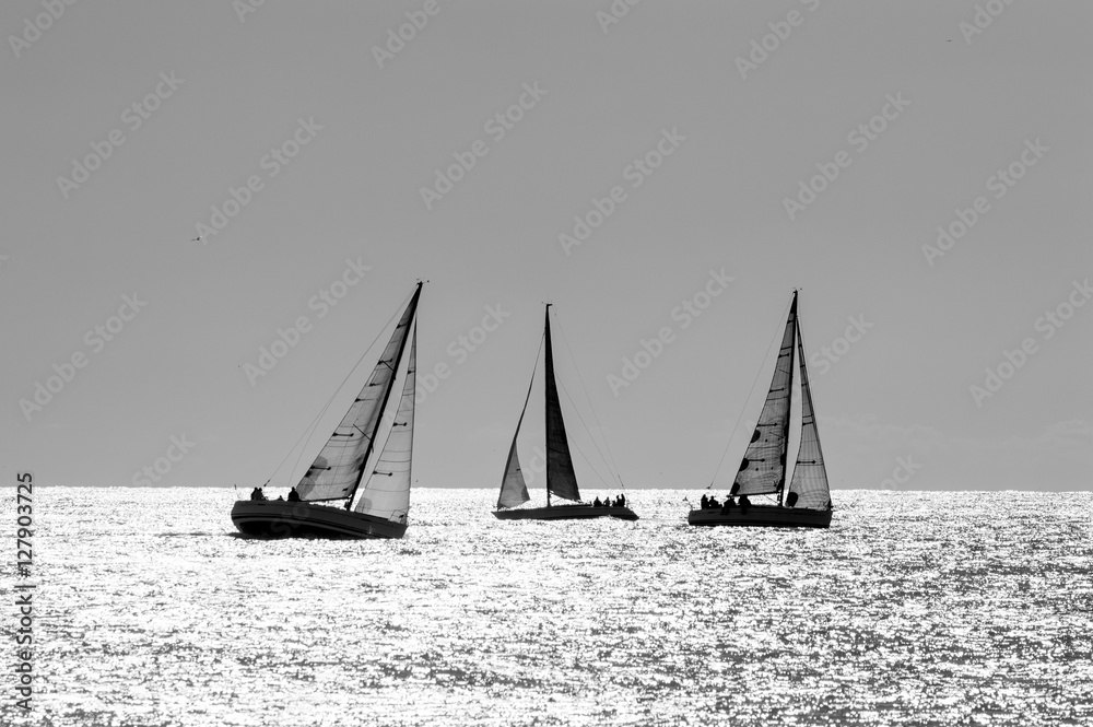 boat race on sea sunset in black and white