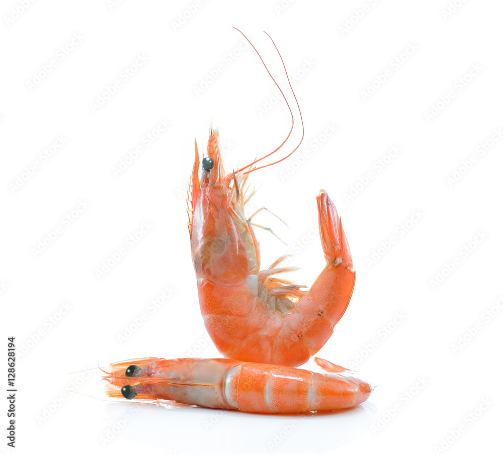 Cooked shrimp,prawn isolated on white background