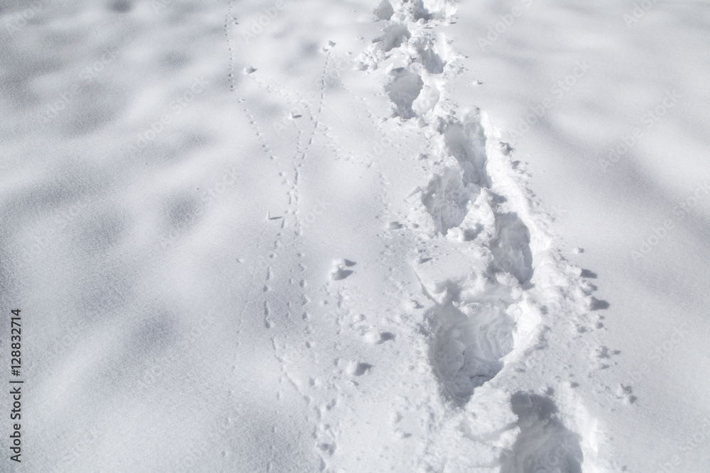 阳光明媚的乡村田野上，在新鲜的大雪中留下鞋印。