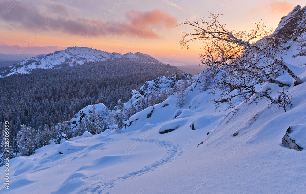 深山雪地里的小路，冬日阳光明媚