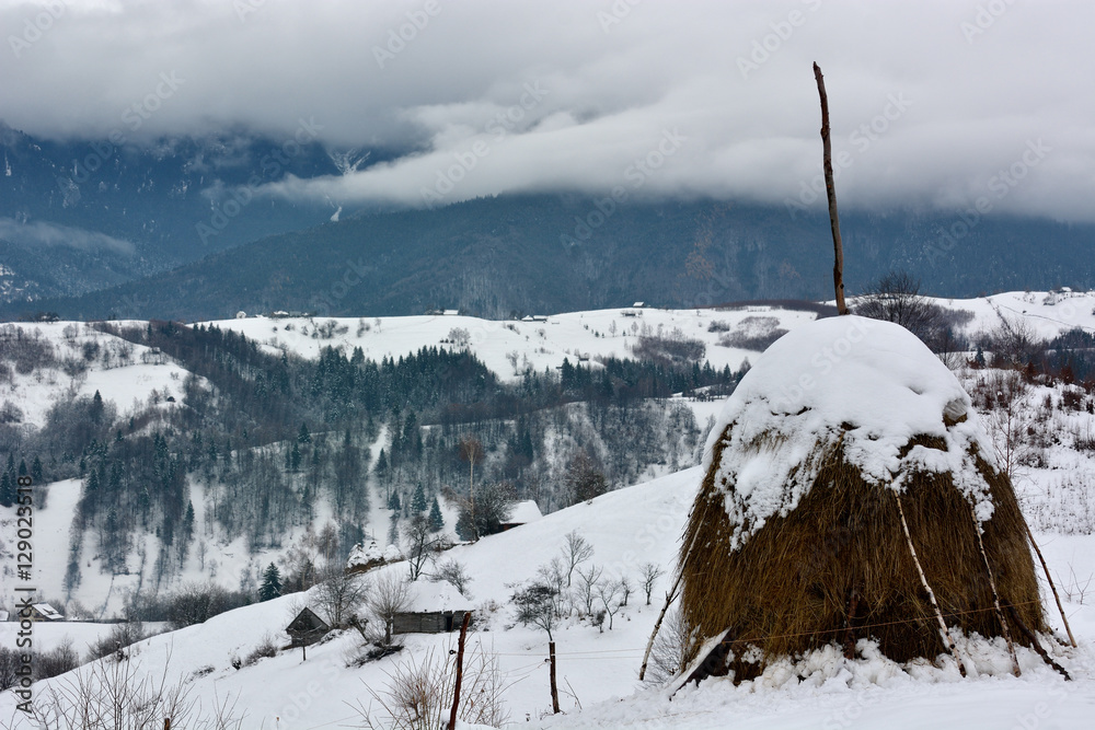 罗马尼亚喀尔巴阡山脉的冬天，阴天。Pestera，Magura，Bran，Brasov。冬季海洋