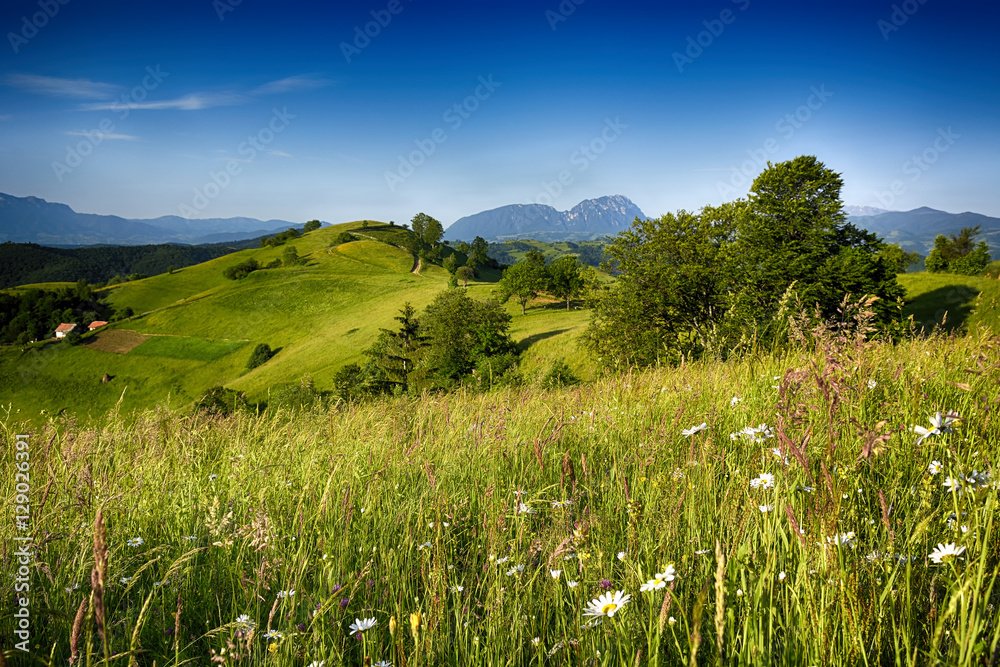 夏日夜晚在野生的鲤鱼山山丘上