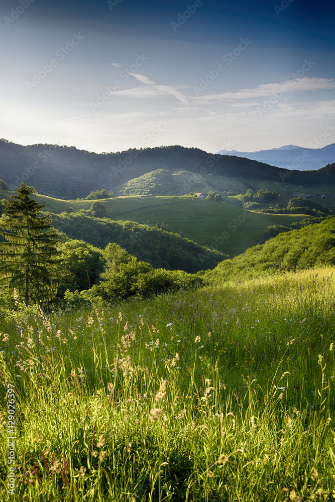 Summer evening on wild carpathian mountain hills