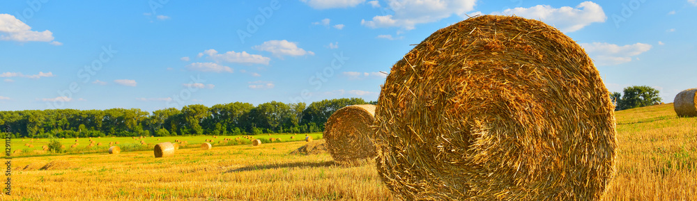 Haystack