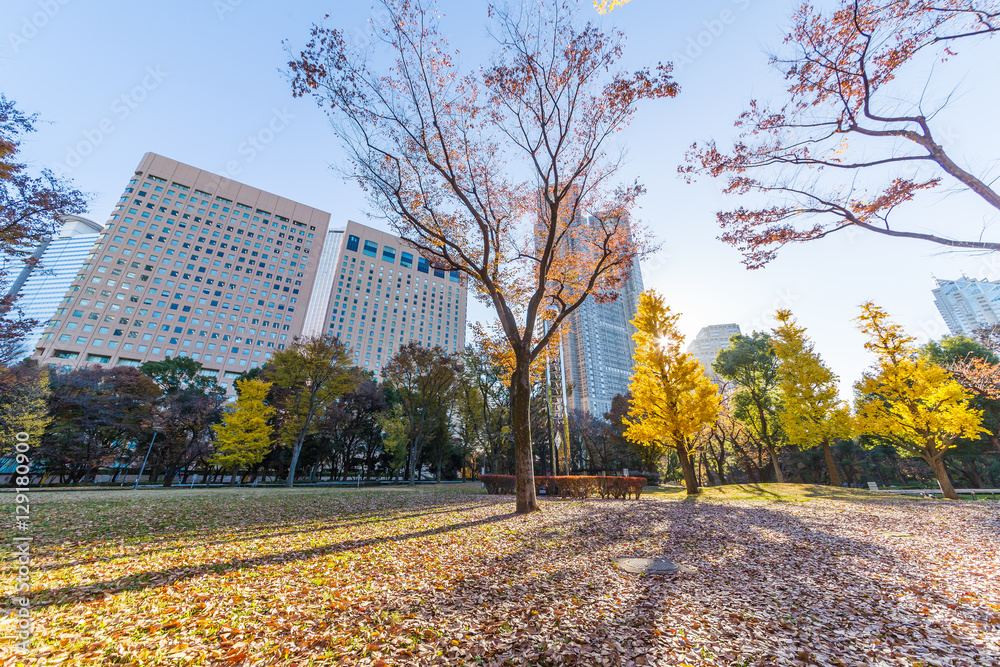 新宿の風景