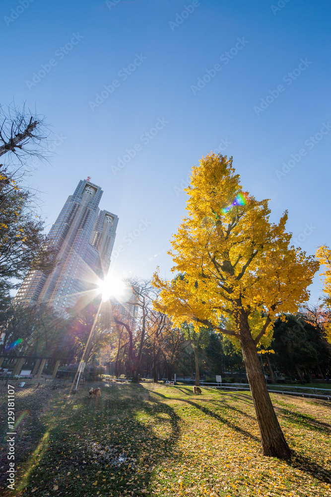 新宿の風景